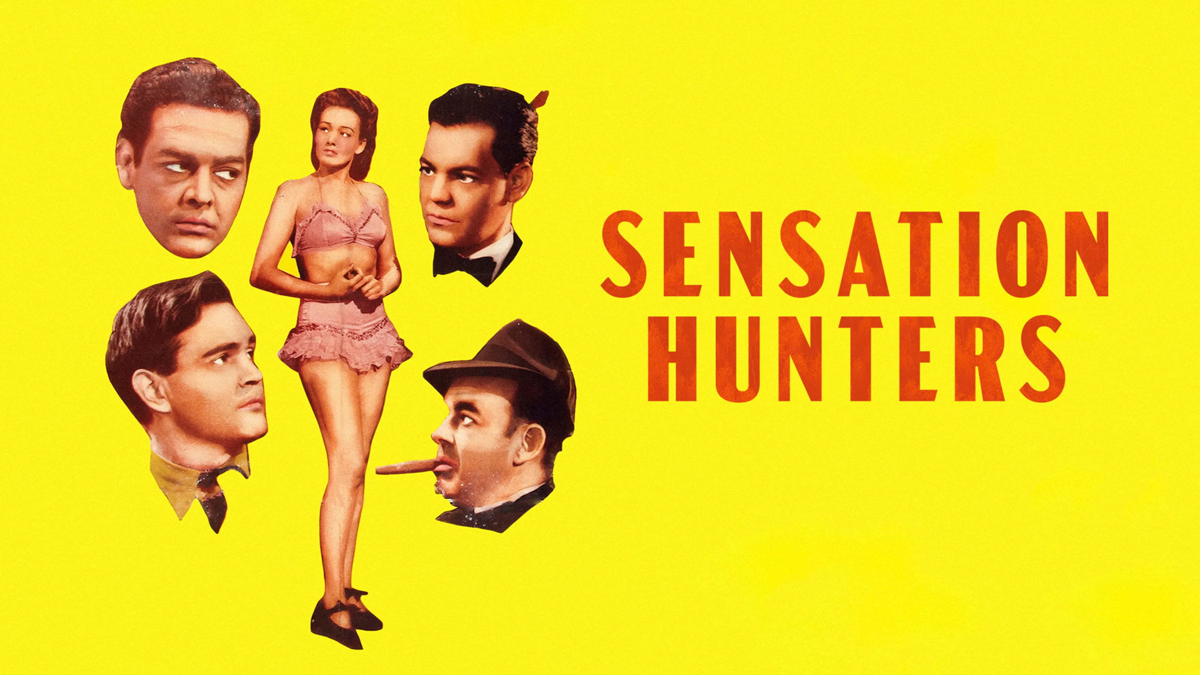 Sensation Hunters poster